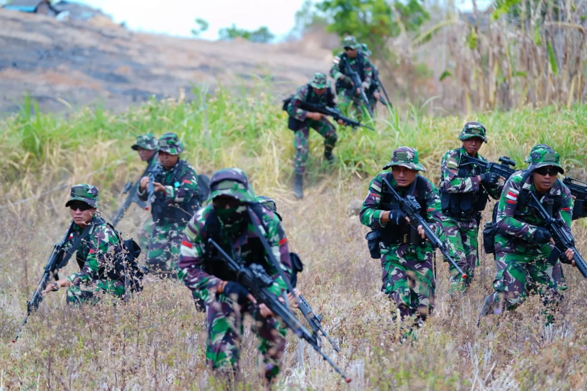Ilustrasi pasukan Tentara Nasional Indonesia (TNI).